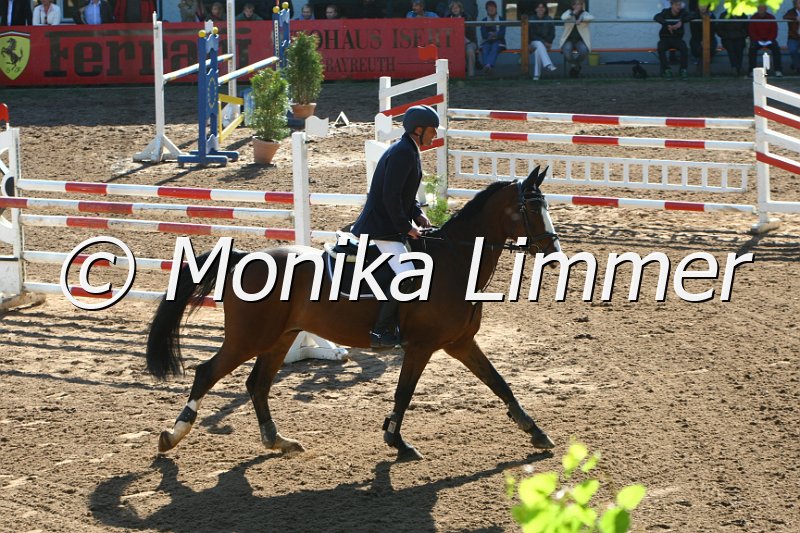 104M8887_Spring M_m.Stechen.JPG